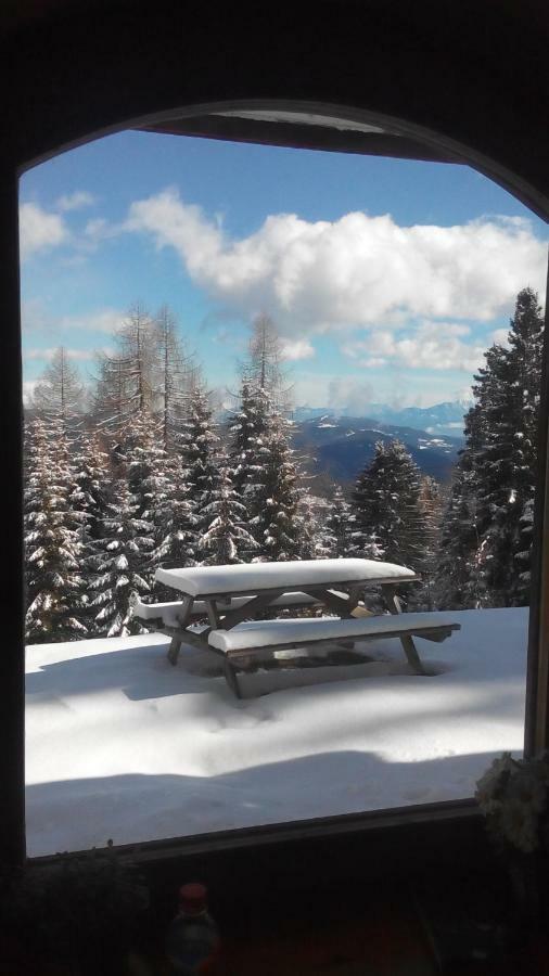 Villa-Alpenblick Hochrindl Luaran gambar