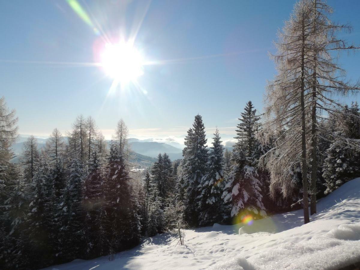 Villa-Alpenblick Hochrindl Luaran gambar